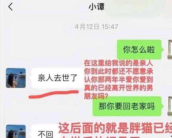 胖猫网友爆料视频,揭秘网络红人幕后真相 第3张 胖猫网友爆料视频,揭秘网络红人幕后真相 第3张